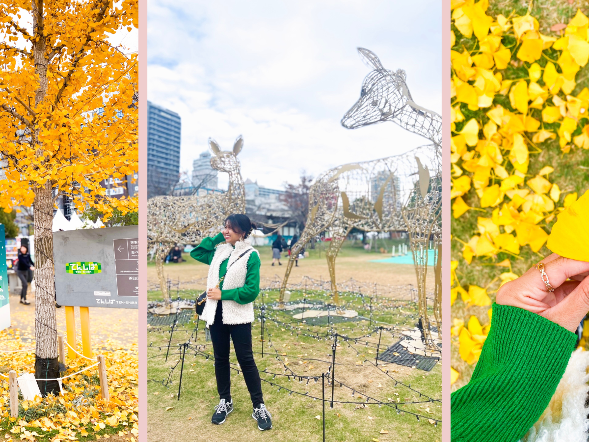 November breather. /primera&nbsp;parte/